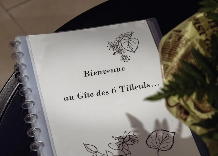 Semesterbostad Des 6 Tilleuls *